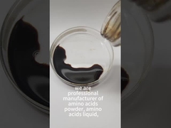Crop Amino Acid Complex Liquid Enzymatic Hydrolysis Process 50% Purity