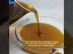 Liquid Calsium Boron Fertilizer , Fruit Tree Fertilizer With Amino Acids In Plants