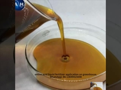 Liquid Tree Fertilizer Foliar Spraying Chelated Boron Calcium Molybdenum