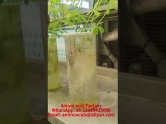 Manganese Amino Acid Chelated Minerals Promote Phosphorus Absorption