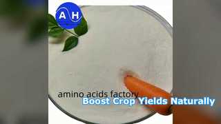 Boost Crop Yields with 80 Percent Amino Acid Powder