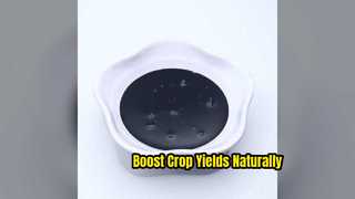 Boost Crop Yields with Liquid Calcium Boron Fertilizer