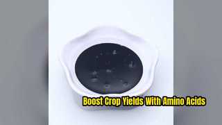 400g L Liquid Amino Acid Fertilizer For Better Crop Yields