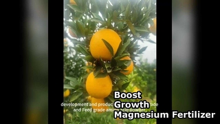 Boost Crop Yield With Water Soluble Magnesium