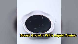 Boost Crop Yields With 30 Percent Liquid Amino Acid