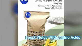 Boost Crop Yields with 100 Percent Soluble Amino Acid Powder