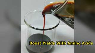 Boost Crop Yields With 30 Percent Amino Acid Fertilizer