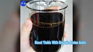 Boost Crop Yields with 400g L Liquid Amino Acid Fertilizer