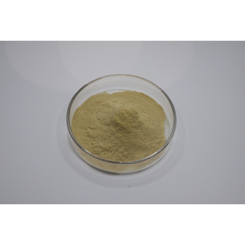 Latest company blogs about From Fermentation to Quality Testing: A Technical Guide to Evaluating 90% Fertilizer Grade Amino Acid Powder