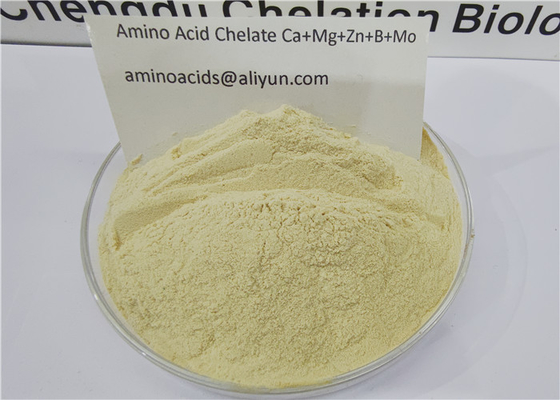 Amino Acid Chelated Trace Elements Calcium Magnesium Zinc Boron Molybdenum