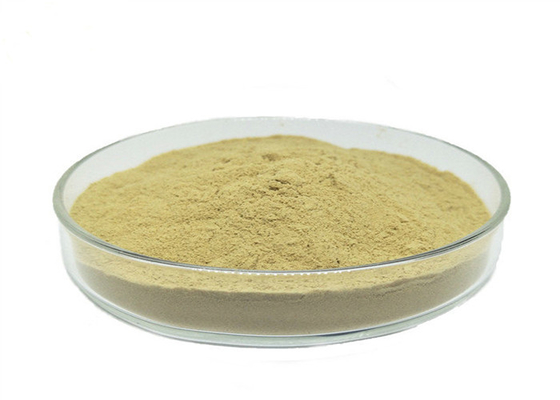 Organic Nitrogen 13% Powder Amino Acid 80%  For Vegetables Cereals