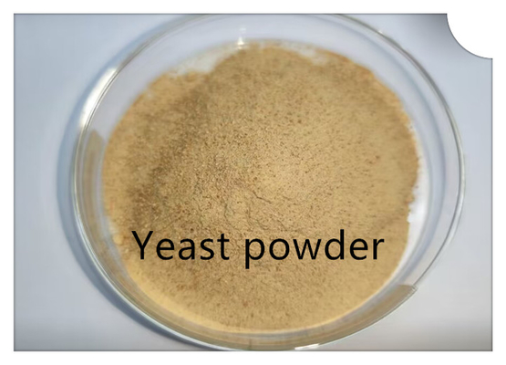 Nutritious Yeast Protein Animal Feed For All Livestock