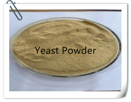 High Protein Yeast Powder Animal Feed Grade with Minerals