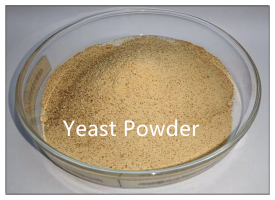 Feed Additive Yeast Powder Inactive Brewers Yeast Protein