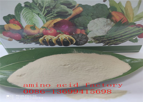 Hydrolysed Soy Protein with Free Amino Acid 80% with REACH registration for Spain Market