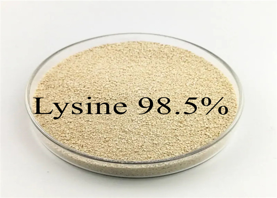 Buy Livestock Poultry Chicken Pig Animal Feed Additive L Lysine 98.5% L-Lysine HCL online manufacture