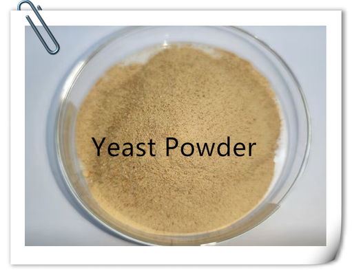 Buy Live Stocks Yeast Powder Rich In Vitamins B & Organic Micro Nutrient, 40KG/Bag online manufacture