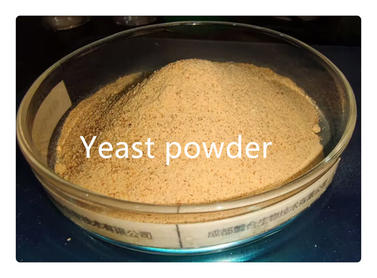 Buy Animal Feed Grade Dried Brewer Fodder Yeast Powder online manufacture