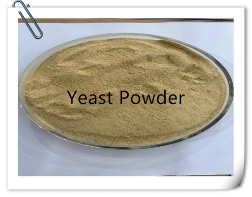 Buy High Protein Yeast Powder Animal Feed Grade with Minerals online manufacture