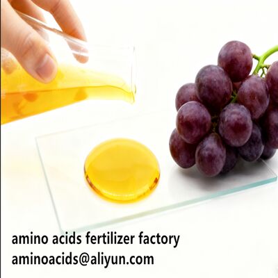 Buy Amino Acid 80% Liquid Hydrolyzed Fertilizer with Free Amino Acid ≥750g/L Total Nitrogen ≥12.0% and High Solubility for Organic Farming online manufacture