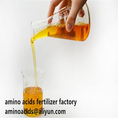 Buy 80% Hydrolyzed Amino Acid Liquid Fertilizer with 800g/L Total Amino Acids and ≥12.0% Total Nitrogen for Enhanced Crop Nutrition online manufacture