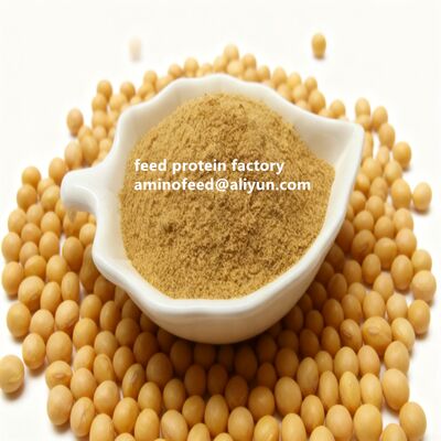 Buy Light Yellow Amino Acid Feed Additives With 50 Percent Crude Protein And High Acid Soluble Protein Content For In Various Animal Feeds online manufacture