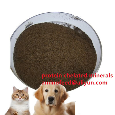 Buy Feed Additive Bacterial Protein Powder Animal Protein For Mycobacterialc Thainland online manufacture