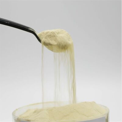 Buy Corn Protein Source Amino Acid Powder 85% Free Amino Acids with Enzymatic Hydrolysis Process and 100% Water Soluble online manufacture