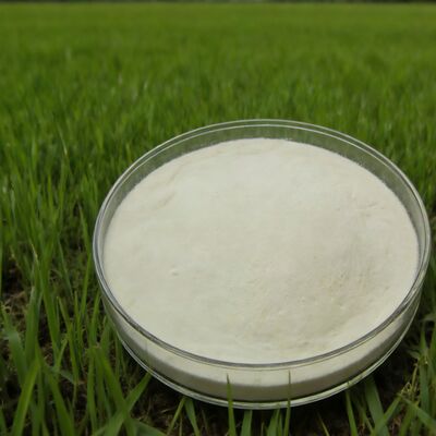 Buy Agricultural Fertilizer-grade 85% Corn Hydrolyzed Amino Acid Powder online manufacture