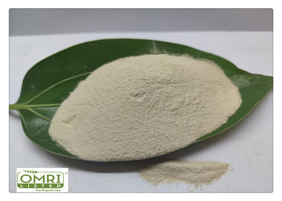 Buy Deep Sea 14% Nitrogen Fish Meal Fertilizer With Amino Acid 80% online manufacture