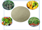 Organic Fertilizers Containing Amino Acid Chelated Calcium And Boron In Plant Nutrition
