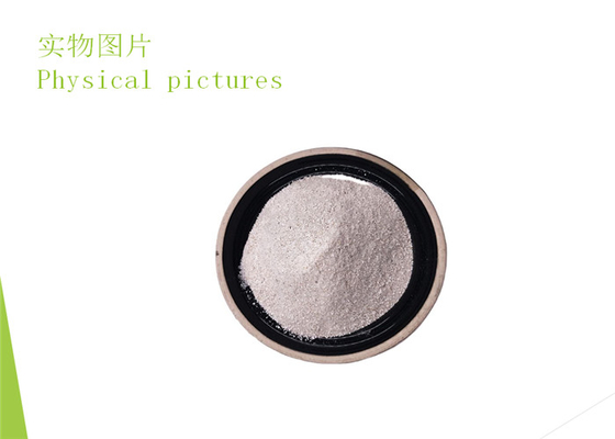 Feed Additive Poultry Acidifiers Grade 1 Light Yellow Powder