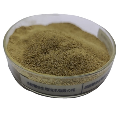 Spain Plant Source Amino Acid 80% Powder 18 Types Essential Nutrient Promoting Strong Healthy Growth