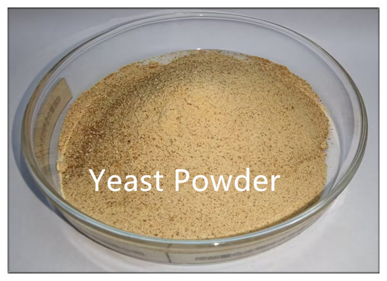 Yeast Powder 40% Protein Feed Additives Raw Material for Chickens