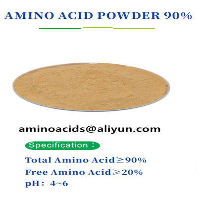 Plant Protein Extracted Amino Acid Powder 85-90% Free Hydroxyproline