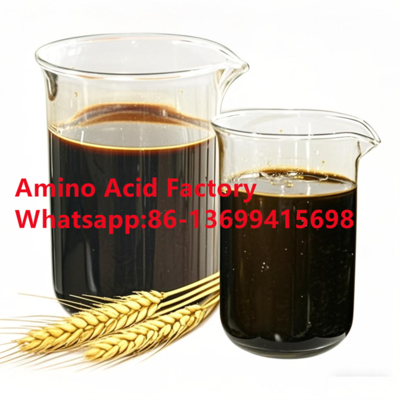 Enzymatic Process 80% Concentration Amino Acid Liquid With Rich Nutrient For Soil Health And Foliar Application