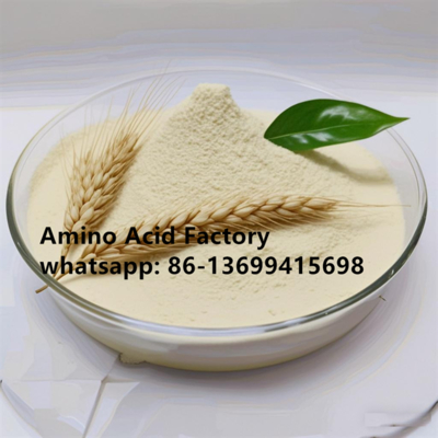 Enzymatic Hydrolysis Amino Acid Powder 90% Extracted From  Vegetable Source