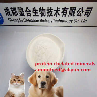100% Water Soluble Amino Acid Protein Powder With High Crude Protein Content 88% With Pepsin Digestibility 99%