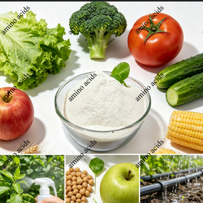 100% Water Soluble Amino Acid Powder 80% from Non-GMO Soybean Meal for Fertilizer Formulation